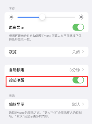 黄浦苹果授权维修站分享iPhone轻点无法唤醒怎么办