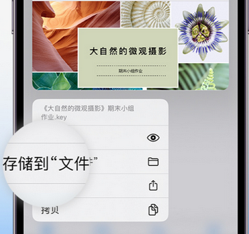 黄浦apple维修中心分享iPhone文件应用中存储和找到下载文件