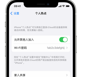 黄浦apple服务站点分享iPhone上个人热点丢失了怎么办 