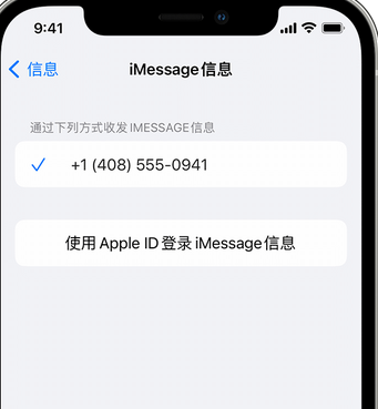 黄浦apple维修iPhone上无法正常发送iMessage信息 