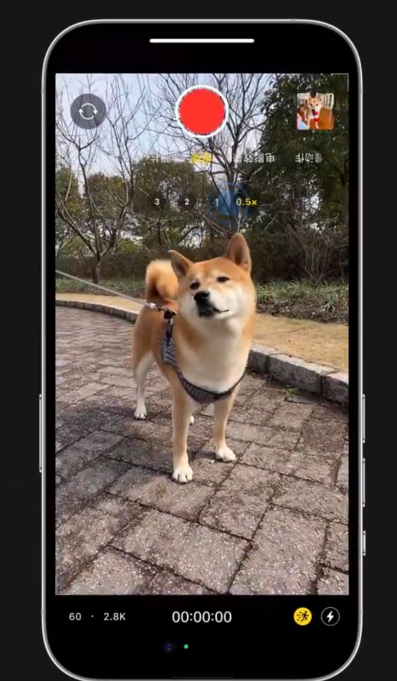 黄浦苹果14服务网点分享iPhone14上手持拍摄也能保持画面稳定 