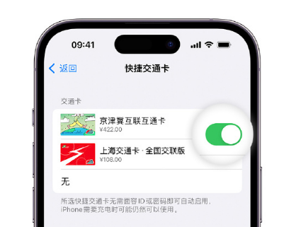 黄浦apple维修点分享iPhone上更换Apple Pay快捷交通卡手绘卡面 