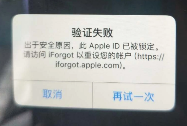 黄浦iPhone维修分享iPhone上正常登录或使用AppleID怎么办 