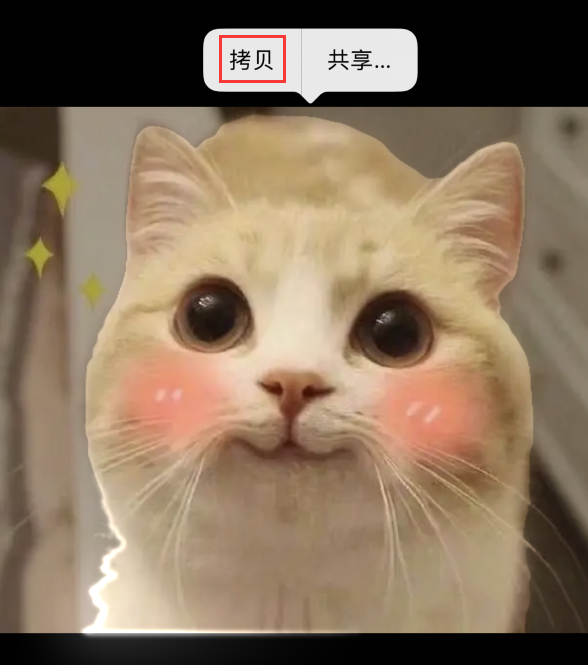 黄浦苹果手机维修分享iOS16小技巧:使用抠图功能和iMessage 