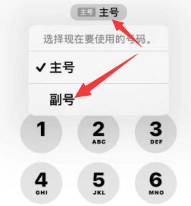 黄浦苹果14维修店分享iPhone 14 Pro Max使用副卡打电话的方法 