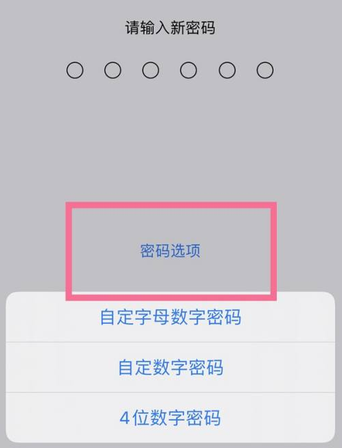 黄浦苹果14维修分享iPhone 14plus设置密码的方法 