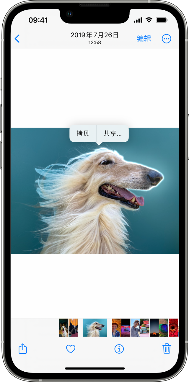 黄浦苹果服务网点分享iOS 16 “一键抠图”功能支持哪些机型？ 