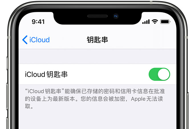 黄浦苹果手机维修分享在 iPhone 上开启 iCloud 钥匙串之后会储存哪些信息 