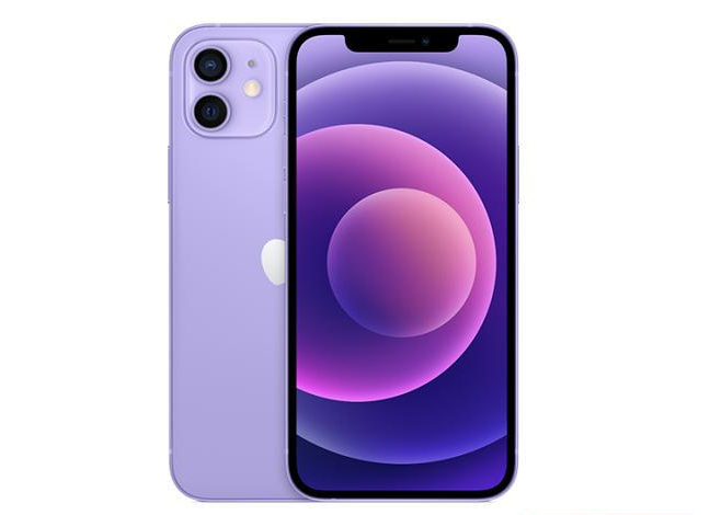 黄浦苹果手机维修分享现阶段要不要入手紫色版iPhone12 